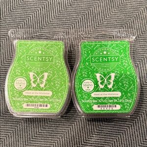 Scentsy Meet at the Mistletoe Wax Bar - Vibrant Green (2)